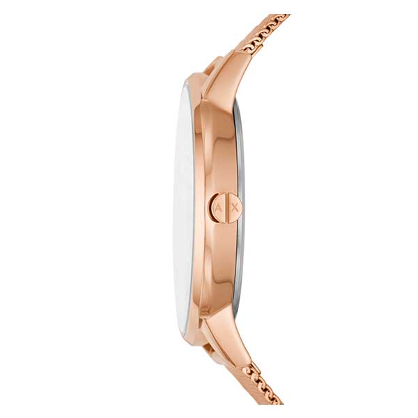 Armani Exchange Three-Hand Stainless Steel Mesh Women's Watch (AX5584)